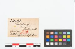 Etikett zu Bronzegürtelhaken (NHMW-PRAE-026162)
